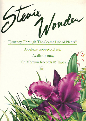 Stevie Wonder Secret Life of Plants