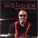 Stevie Wonder Ballad Collection