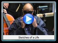 Stevie Wonder Performs - Sketches of a Life